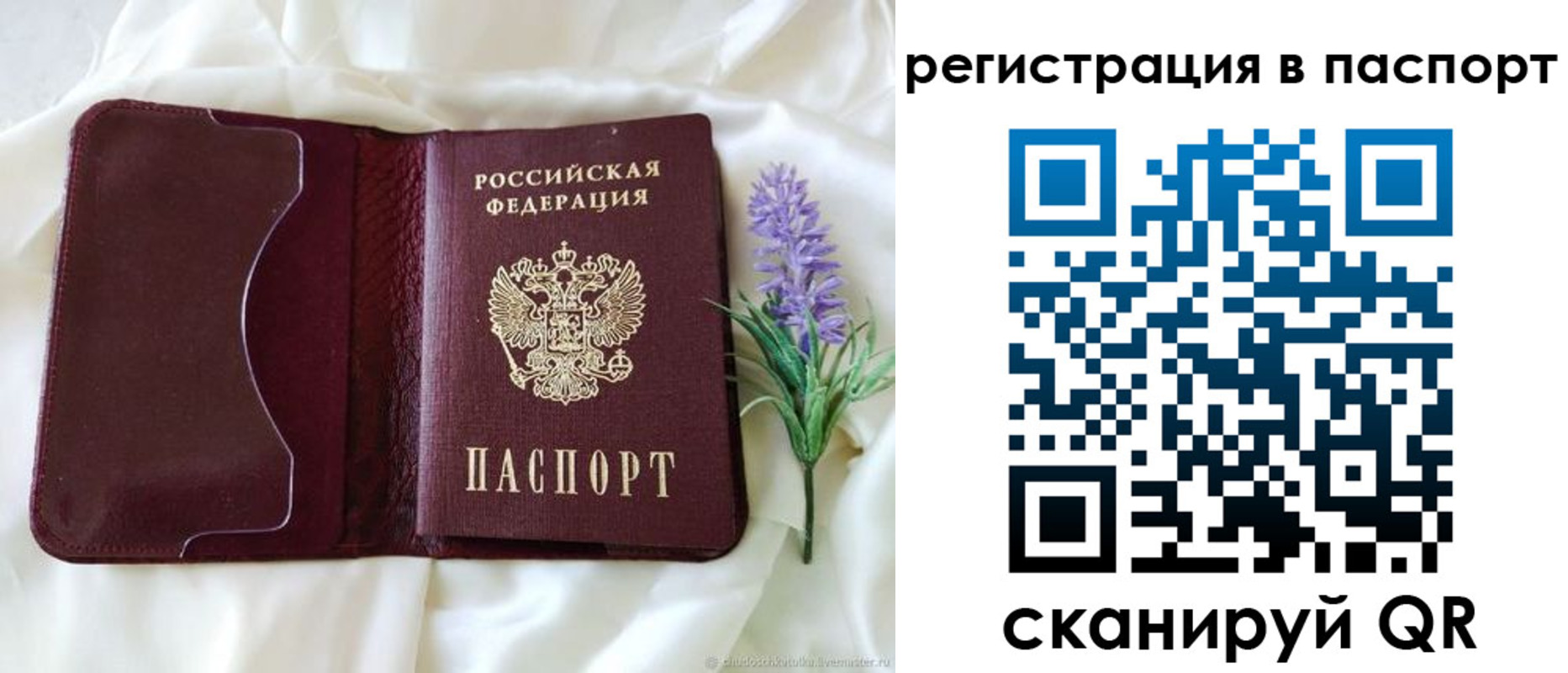 временная регистрация для всех в Гусеве